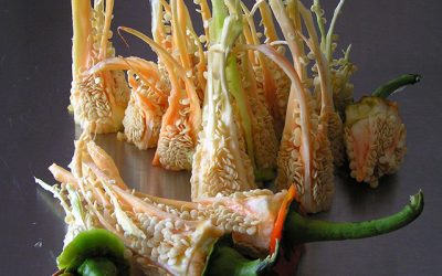 Cooking Workshops in the Bellarine Peninsula