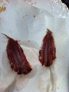 Sardines raw