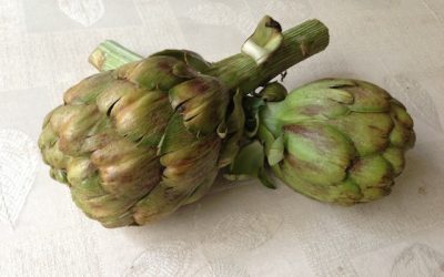 Artichoke